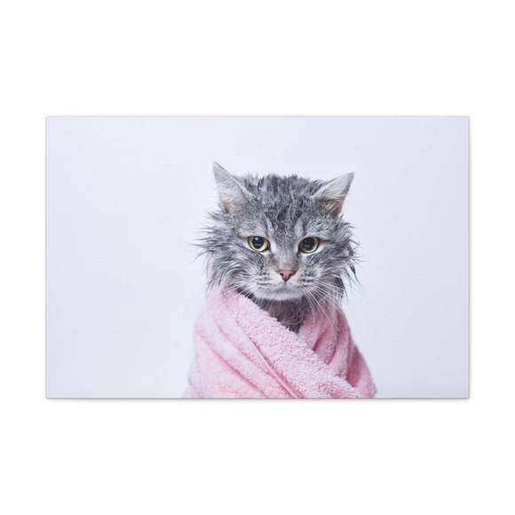 Funny Tabby Cat Bathee Canvas Wall Art for Home Decor Ready-to-Hang